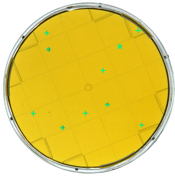 ScanStation V9 - Improved counting