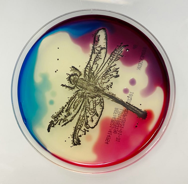 agarart_libelcolor-le-monde_750-min.jpg