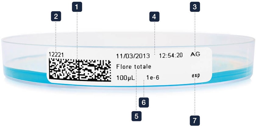 <span lang='fr'>Boite de Petri dataLink</span>