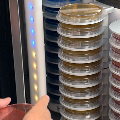 Incubate Petri dishes with ScanStation