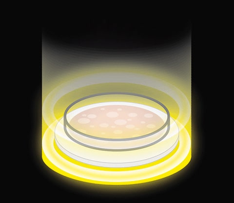 standard light - colony counter