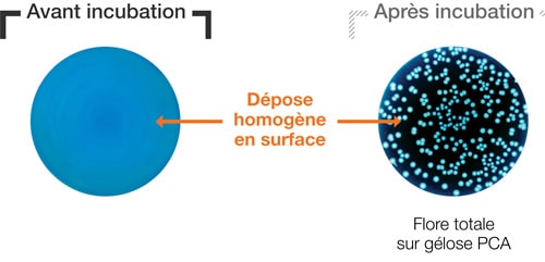 Ensemencement - Mode constant - partie 1