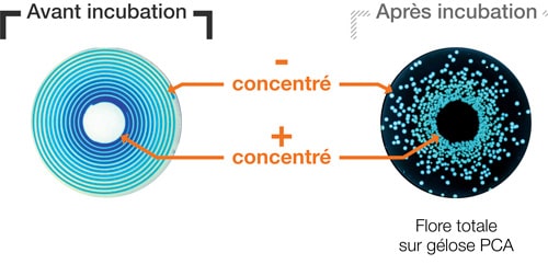 Ensemencement mode exponentiel partie 1