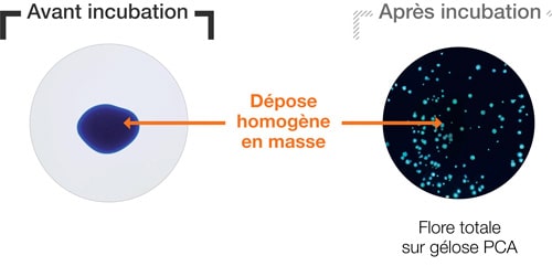 Ensemencement - Mode masse - partie 1