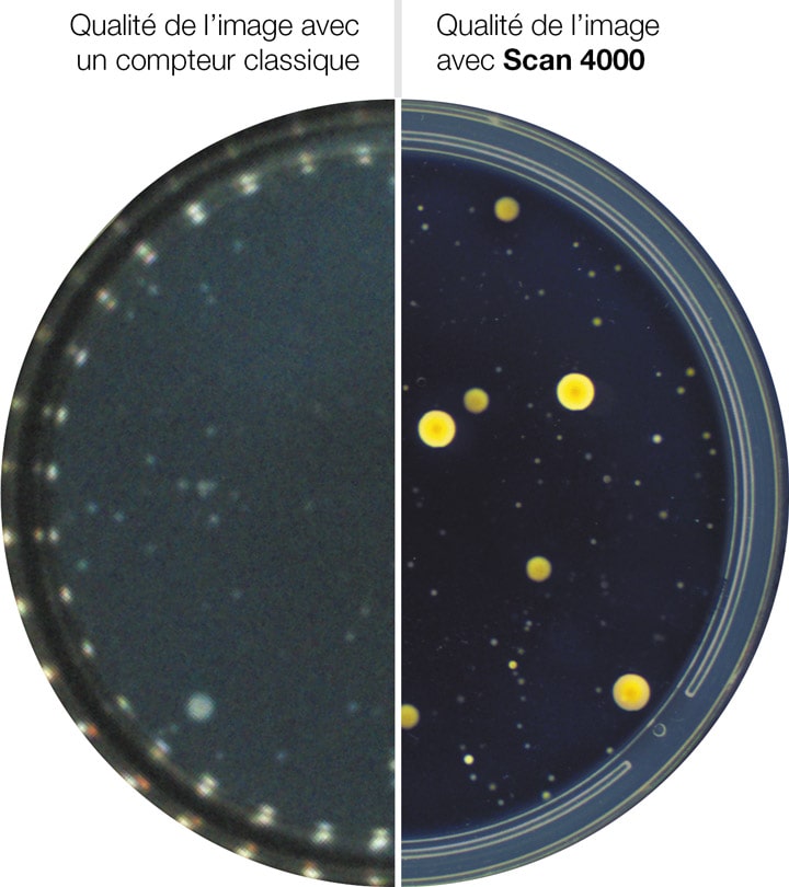 Scan 4000 qualité de l'image