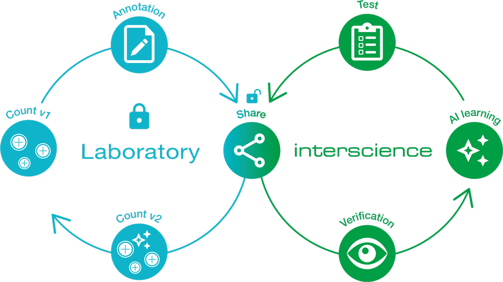 Continuous improvement and security with locked AI 