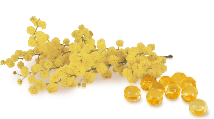 Anabac Natural mimosa