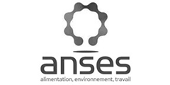 Logo - ANSES