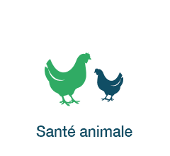 Application - Santé animale