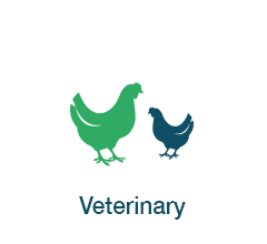 Veterinary