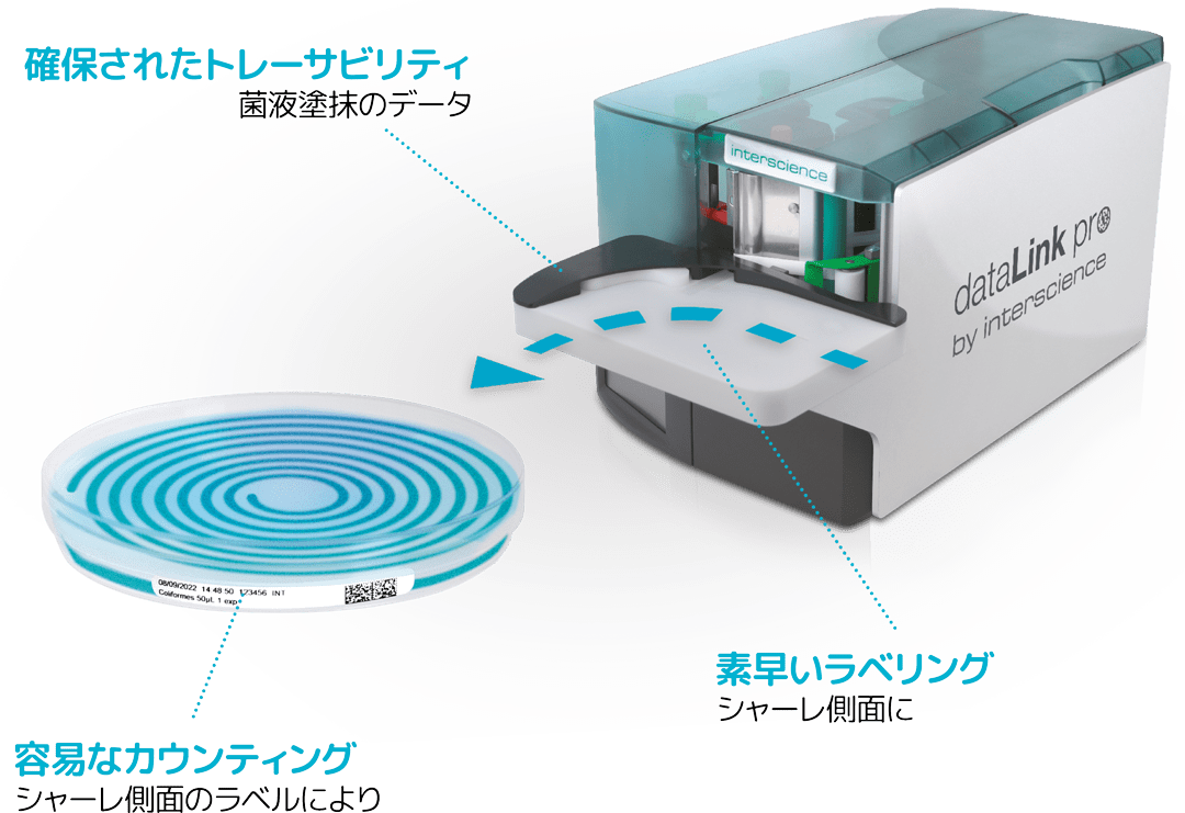 Araignée dataLink pro JP