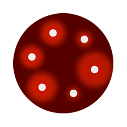 Antibiogram reading on blood agar