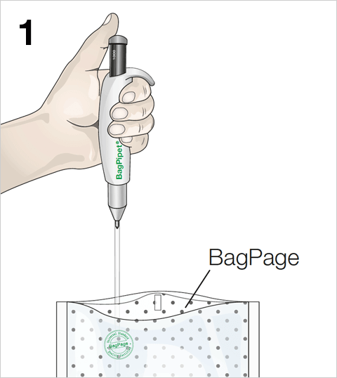 <span lang='fr'>BagPipet - Simplicité 1</span>