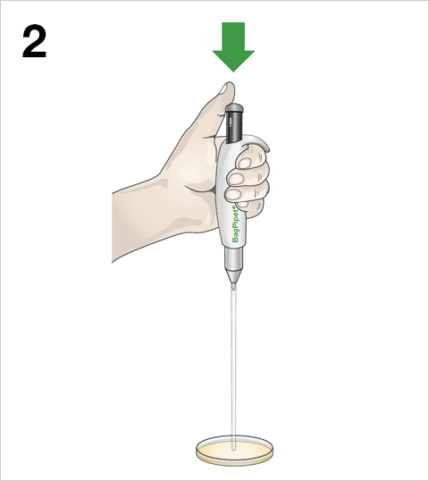 BagPipet - Simplicity 2