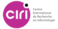 Logo - Ciri