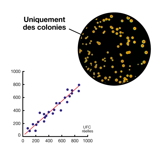 Comptage simplifie avec sac -filtre - Droite correlation comptage automatique