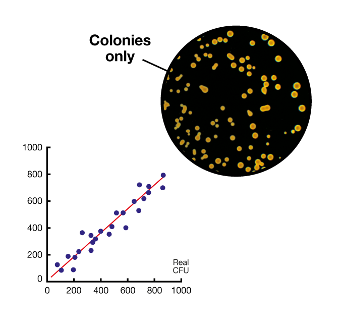 Simplified counting with filter bag - Correlation for automatic counting