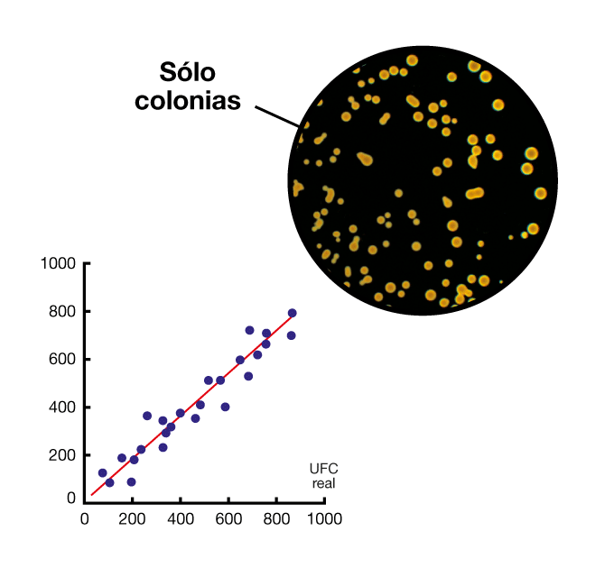 Recuento simplificado con bolsa filtrante - Correlación para el recuento automático