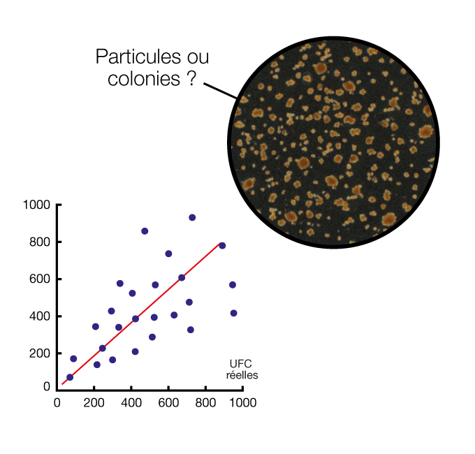 Comptage difficile avec sac sans filtre - Droite correlation comptage manuel