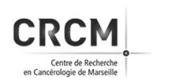 Logo - CRCM