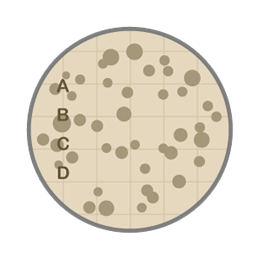 Counting on contact plates