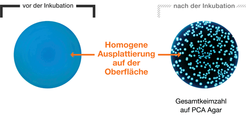 Ausplattieren- Ausplattierungsmodus gleichmäßig - teil 1 DE