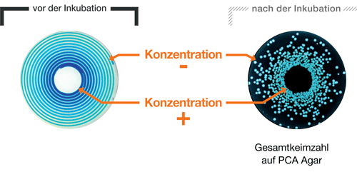 Ausplattieren - Exponentieller Modus - teilen 1 DE