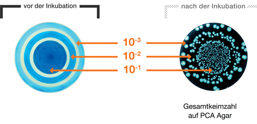 easySpiral - One touch plating- mode cercle 1 DE