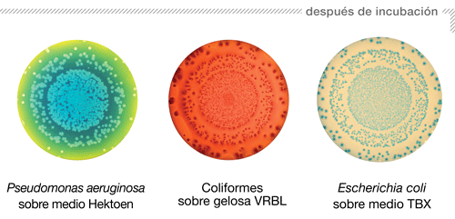 Siembra - Modo Círculo - pieza 2 ES