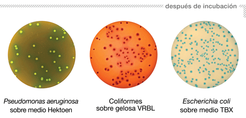 Siembra - Modo de siembra Uniforme - pieza 2 ES