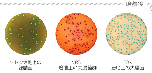 播種 - 均一モード- 部分 2 JP