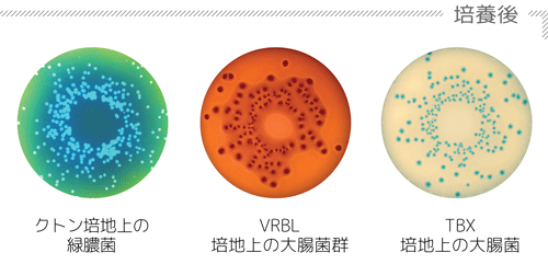 播種 - スパイラルモードで - 部分 2 JP