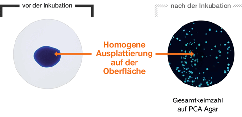 Ausplattieren - Gußplatten Modus - teilen 1 DE