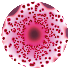 Different concentrations with the Spiral plating technique