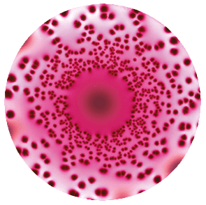 Different concentrations with the Spiral plating technique