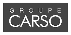 Logo - CARSO