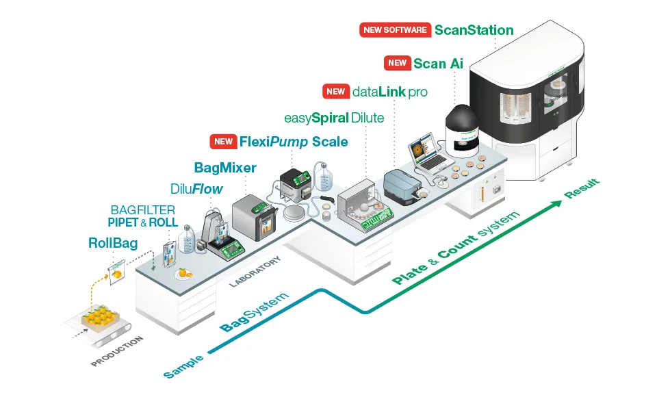 From sampling to bacterial analysis