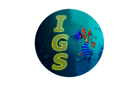 Logo IGS CNRS