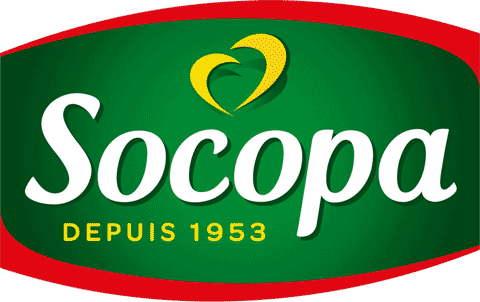 Socopa