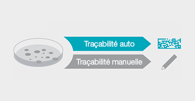 Comparaison entre la méthode d'ensemencement manuelle et automatique