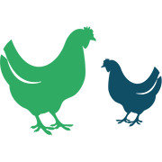 Veterinary