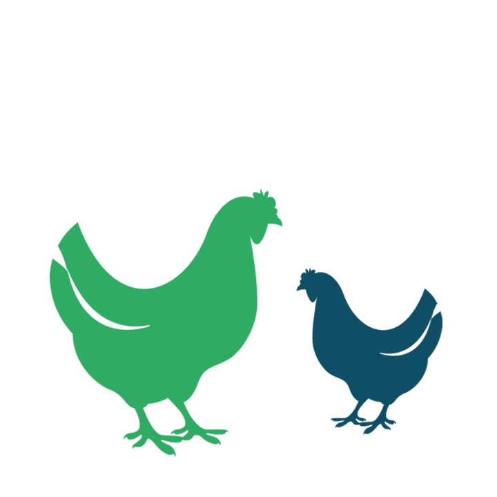獣医学