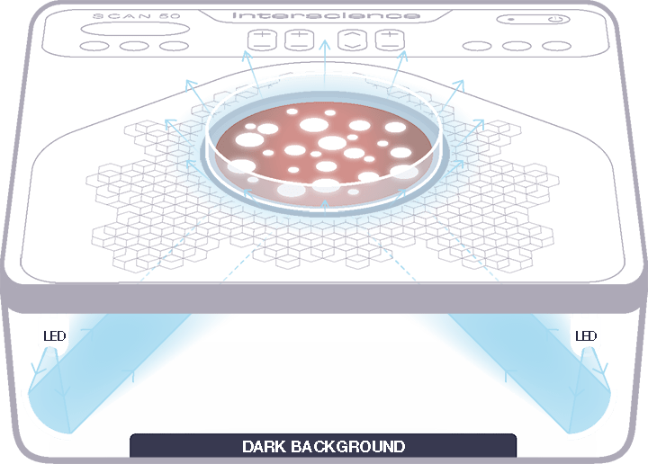 Dark Field 2 indirect lighting