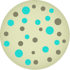 Escherichia Coli (TBX)