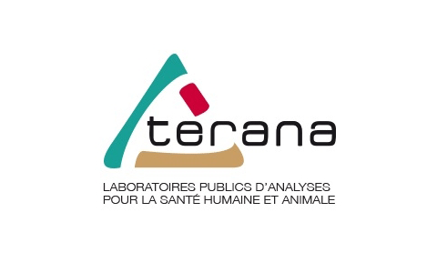 Terana