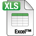 excel file