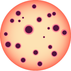 Entérobactéries (VRBL/VRBG)