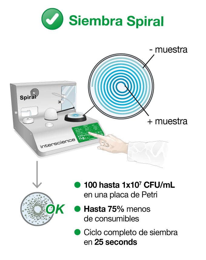 Metalizado exponencial con el método automático Spiral