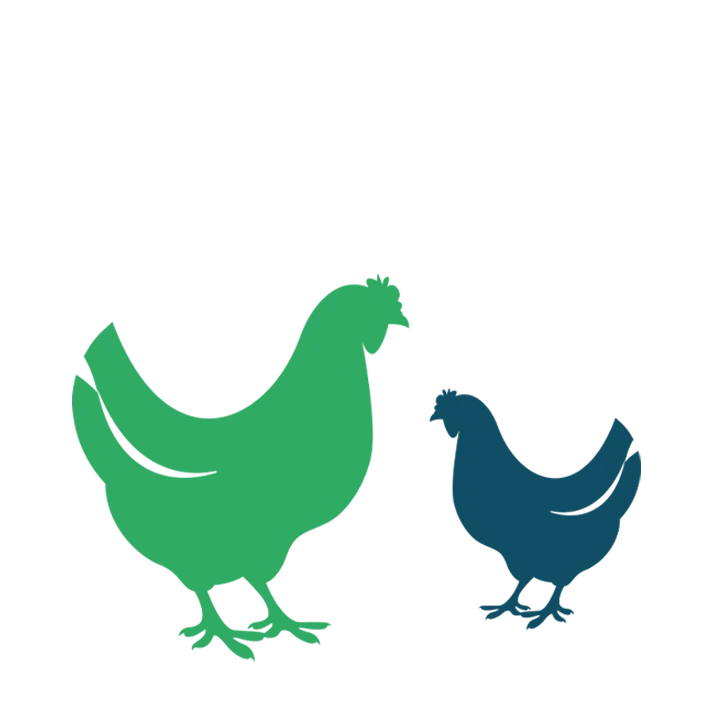 Santé animale