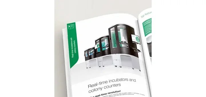 Katalog